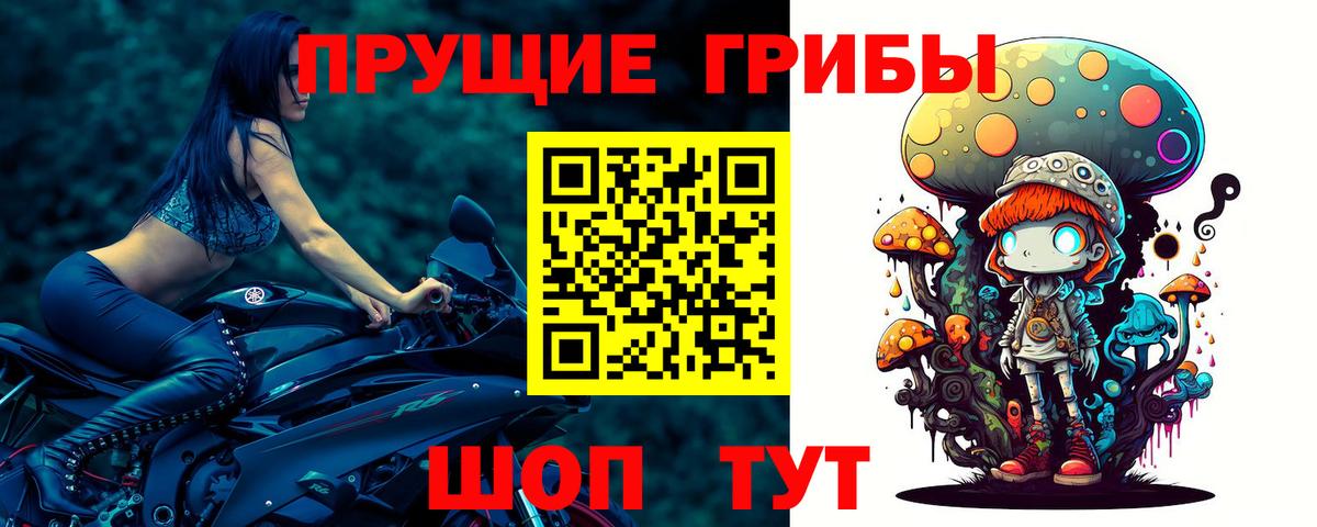 Псилоцибиновые грибы прущие грибы  Псилоцибиновые грибы ЛСД  Конаково  Вход с VPN 
