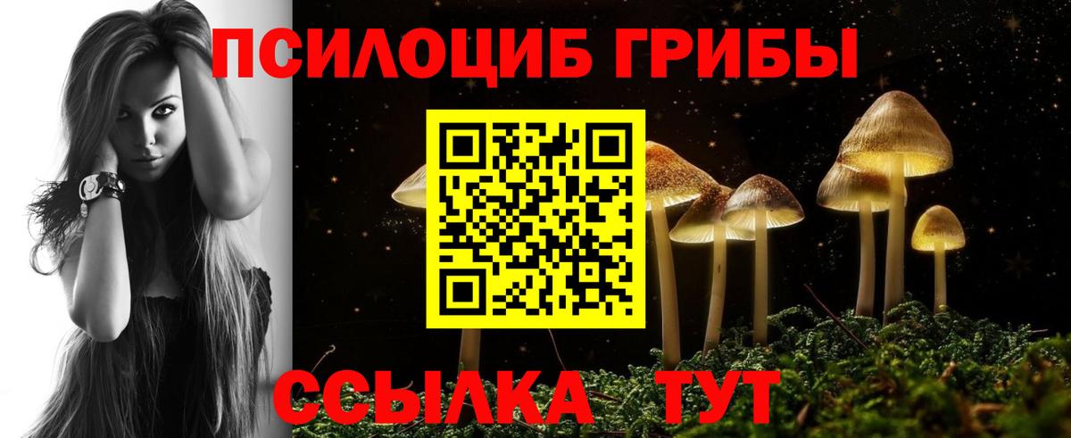 Псилоцибиновые грибы MAGIC MUSHROOMS Конаково